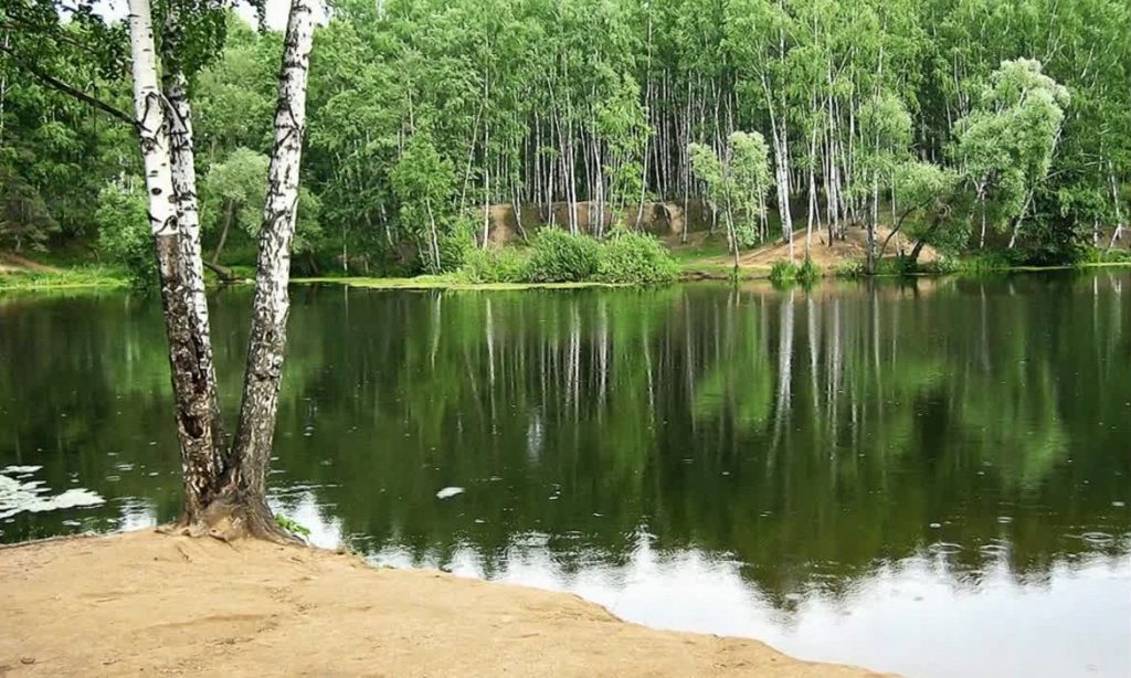 природа Подмосковья
